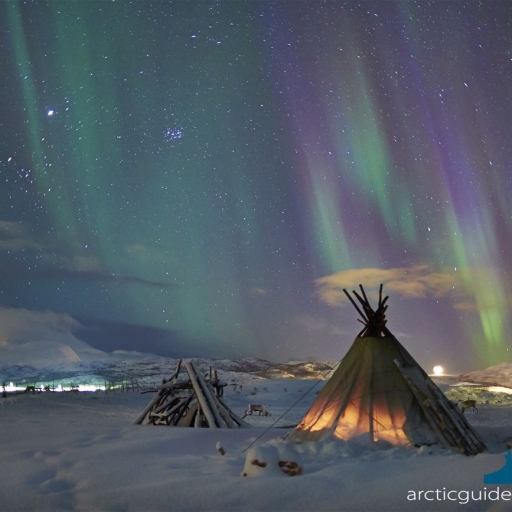 Arctic Guide Service