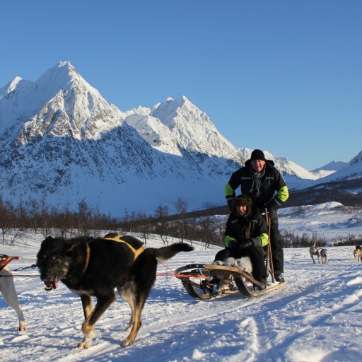 Best Northern Lights tour with dog sledge