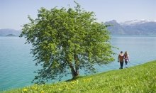 The summer at the Hardangerfjord is so beautiful