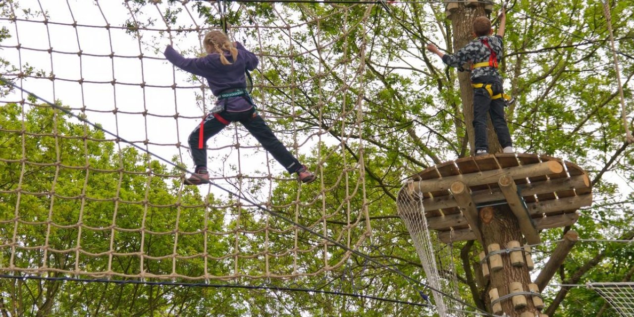 The Funky Monkey Park