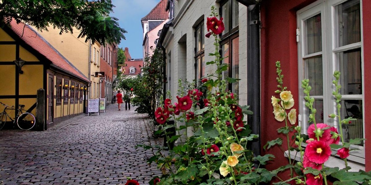 Historic Quarter in Odense