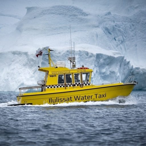 The Ice Sheet
