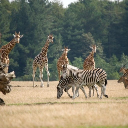 Knuthenborg Safari Park