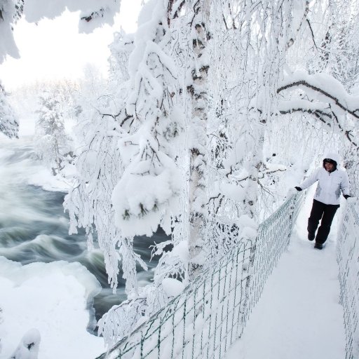 Oulanka National Park 