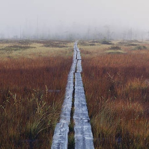 Patvinsuo National Park 