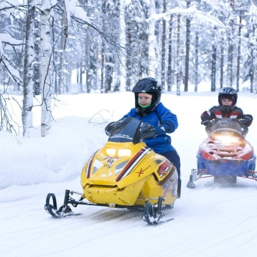 Wildlife Adventures in Finland