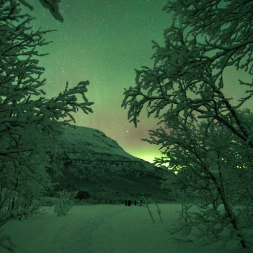 Destination Tromsø
