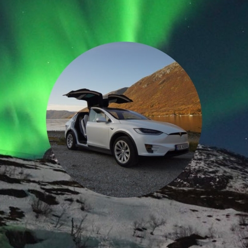 Arctic Cruise in Norway