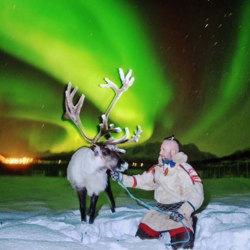 Northern Shots Tours