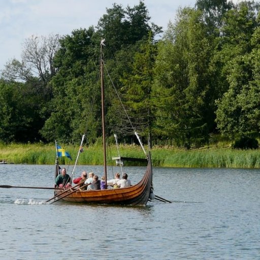 The Viking Market